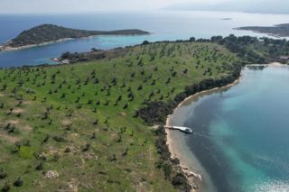 Διάπορος: το νησί που έγινε υπόθεση της πλατείας